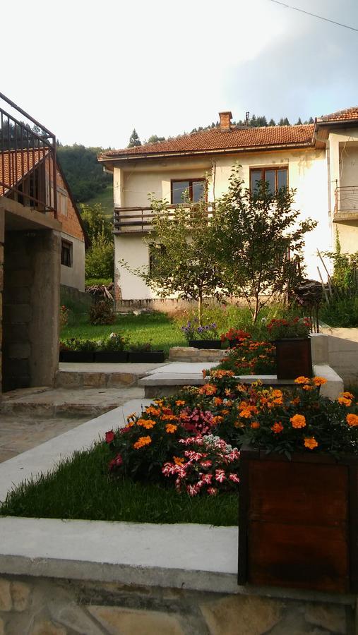 Smestaj Zlatar Arena Apartment *
